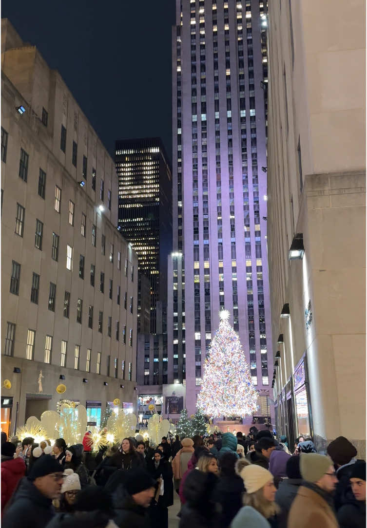 You visit NYC in the winter and find yourself lost in a sea of crowds.  The lights and vibes are magical, but the hustle is real. Welcome to the Big Apple!🍎 #WinterInNYC #POVNYC #Allyoucannyc #BigAppleVibes #NYCChristmasCrowds #OnlyInNYC #CityThatNeverSleeps #NYCVibes #ConcreteJungle #NYCExperience #HolidaySeasonNYC #FestiveNYC #UrbanHustle