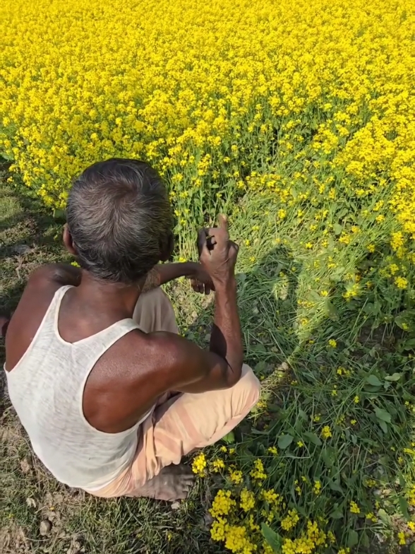 চাচার জমিতে কি ঘটতে পারে?? #village #foryouシ #foryoupageシ #amarbangladesh #fvt 