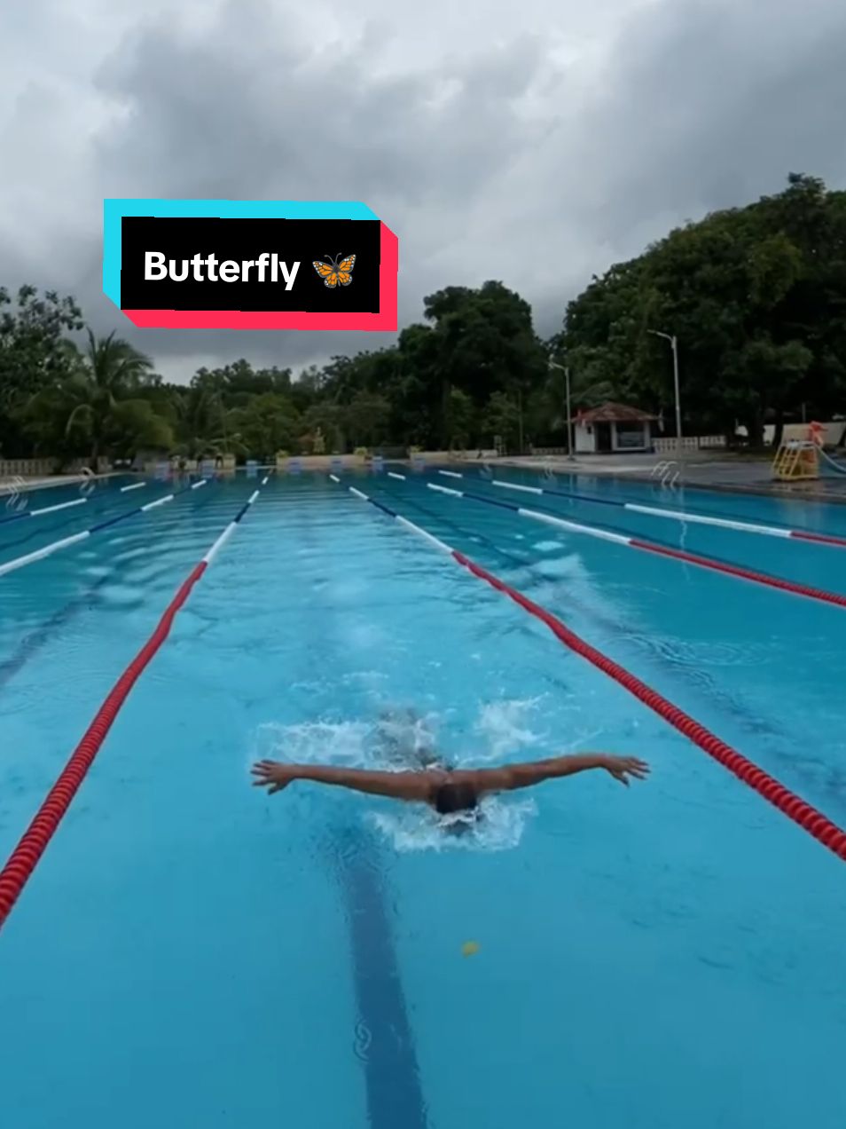 tetap konsisten di area butterfly 🦋🦋  #fyp #fypage #renang #butterfly #casis #casistnipolri #4u 