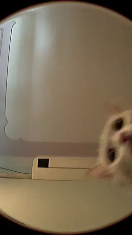 Ko có baby3:(