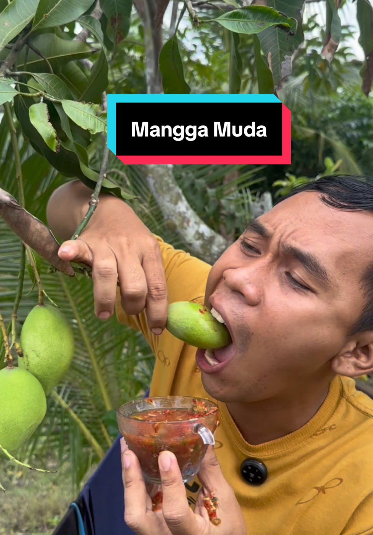 Mukbang Mangga Muda Langsung Dari Pohon