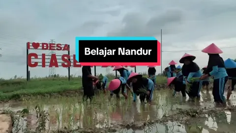 Demi mewujudkan ketahanan pangan nasional, dan kembalinya keasrian desa, Desa Ciasembaru melalui Desa Wisata Edukasi “Lembur Campernik” mengajak anak2 untuk belajar bercocok tanam, agak kegiatan ini bisa terus dilestarikan #ketahananpangan #makansianggratis #belajar #bercocoktanam 