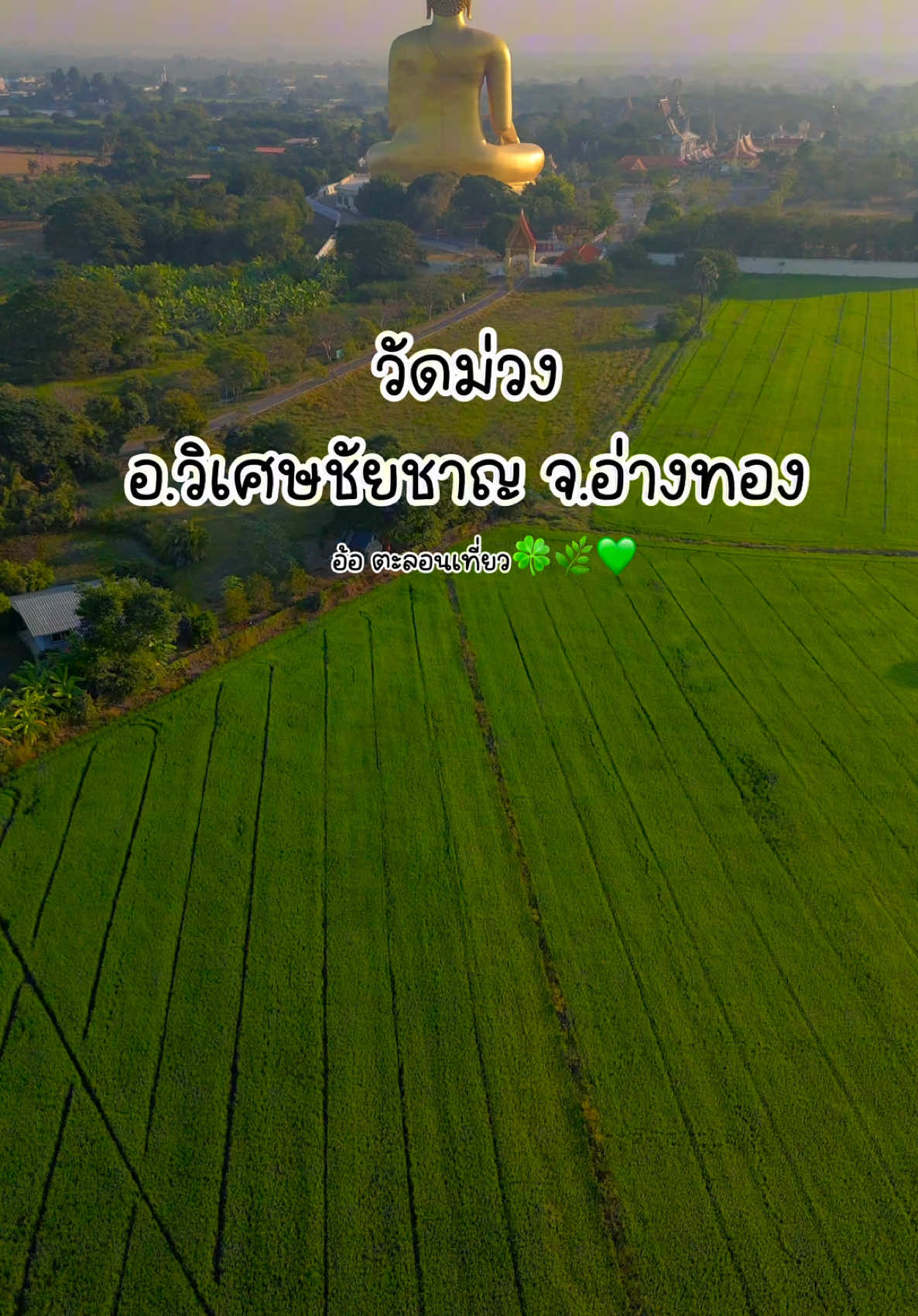 ความสวยงานของ วัดม่วง อำเภอวิเศษชัยชาญ จังหวัดอ่างทอง #วัดม่วง #วิเศษชัยชาญ #อ่างทอง #สายมู #อ้อตะลอนเที่ยว #ถ่ายมาเพื่อให้คนอื่นได้เห็น #อ้อตะลอนเที่ยวผู้ส่งมอบความสวยงาม