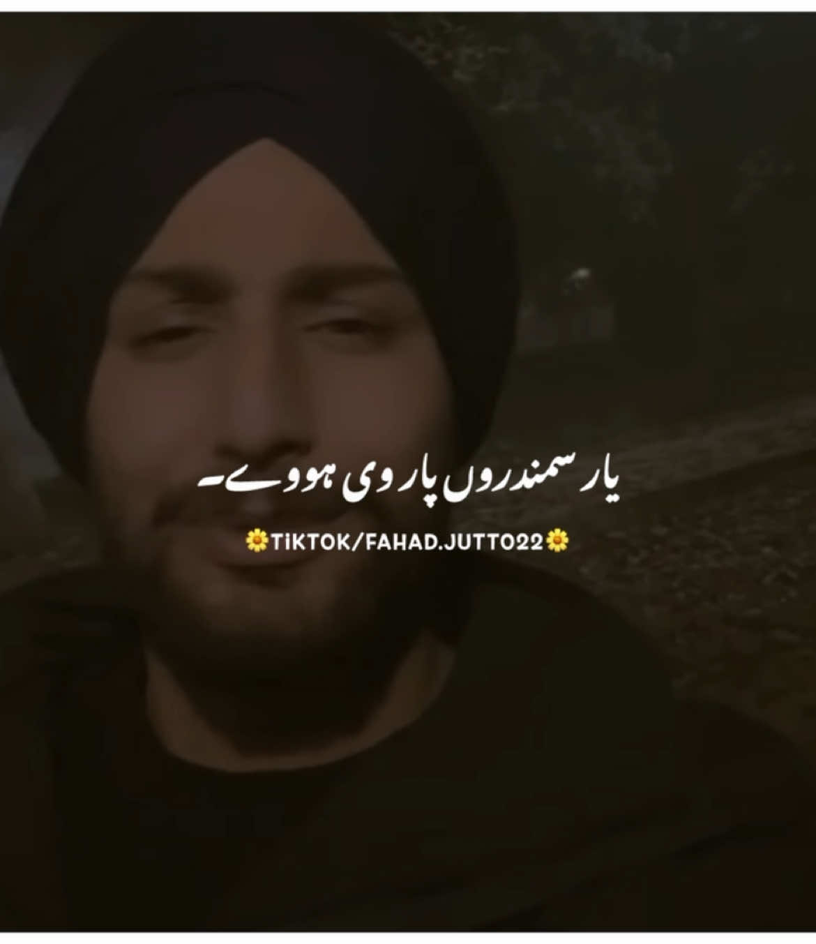 Dil Dy Vicho 🥹❤️‍🩹 #foryou #foryoupage #fypシ #viral_video_tiktok #burhan_tv #fypシ゚ #viral #punjabipoetry #fahadwrites022 