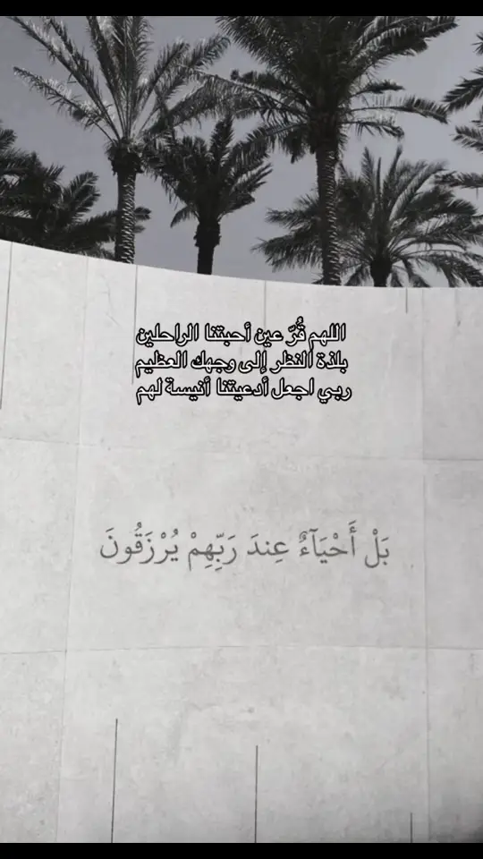 اللهم ارحم فقيدي يالله واغفر له 🤍 #رحمك_الله_يا_فقيد_قلبي #اللهم_صل_وسلم_وبارك_على_نبينا_محمد #قران_كريم #اجر_لي_ولكم_ولوالدينا_وللمسلمين 