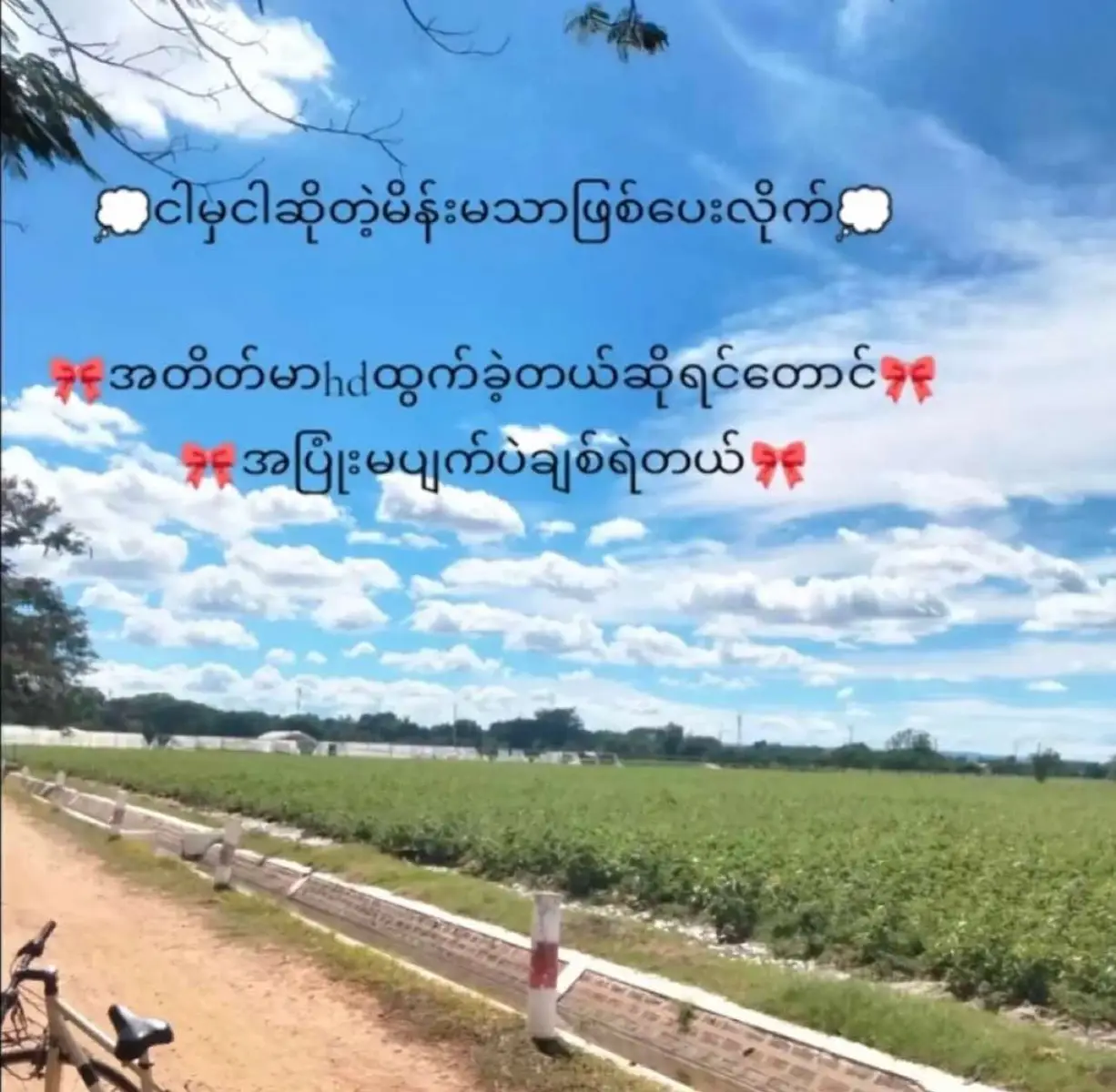 တစ်ဘဝလုံးမင်းအတွက်ဖစ်စေရမယ်🤭#မင်းချစ်ရင်မင်းကောင်လေးပဲ🤘🤭✨ #fpyシ 