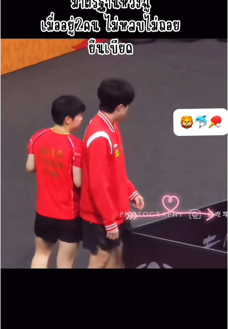 มาตราฐานหวังโถว #บันทึกชาโถว #wangchuqinsunyingsha #หวังฉู่ชินซุนหยิงซา #shasha #pingpong #หวังฉู่ชิน #wangchuqin #sunyingsha🐬 #sunyingsha 