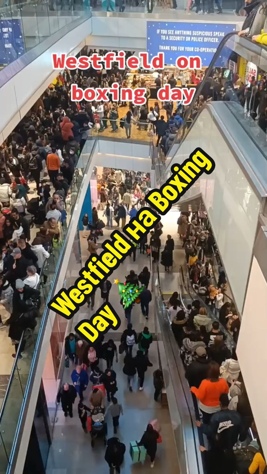 Westfield на Boxing Day 🎄🛍 Скидки, толпы и праздничное настроение – шопинг на Boxing Day в Лондоне, как он есть! Готовы ли вы к таким приключениям? 😅 #BoxingDay #WestfieldLondon #ШопингВЛондоне #ПраздничныйХаос #Скидки #UKShopping