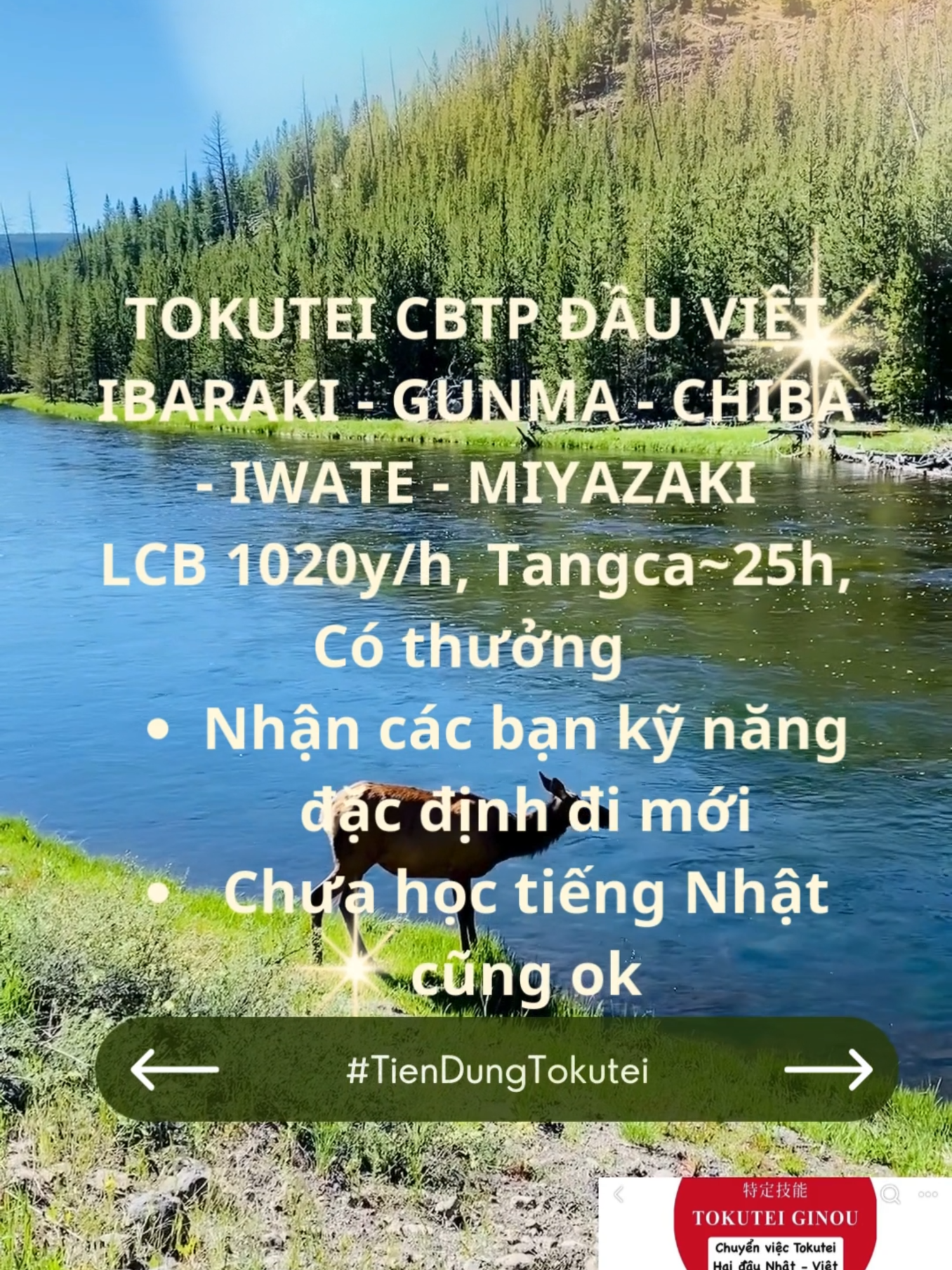 Tokutei CBTP Đầu Việt IBARAKI, GUNMA, CHIBA, IWATE, MIYAZAKI Nhận Các Bạn KNDD Đi Mới #tokutei #tokuteiginou #xuhuong2025 #特定技能 #xkldnhatban #tiendungtokutei #tokuteithucpham