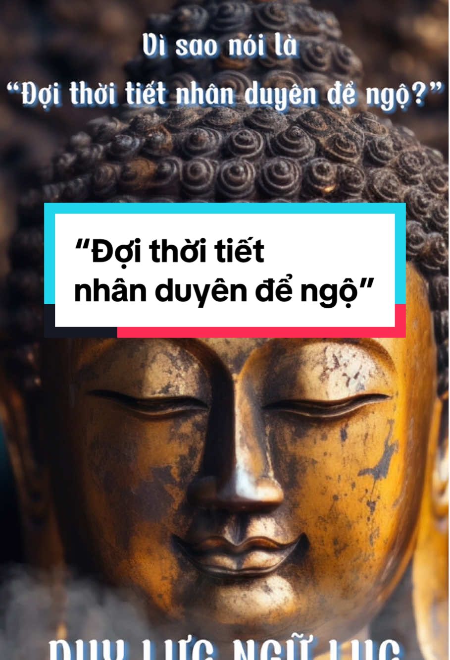 Vì sao nói là “Đợi thời tiết nhân duyên để ngộ”#quanamtutai #loiphatday #hoathuongthichduyluc #tosuthien #thamthoaidau #duylucnguluc #nhanduyen #ngo 