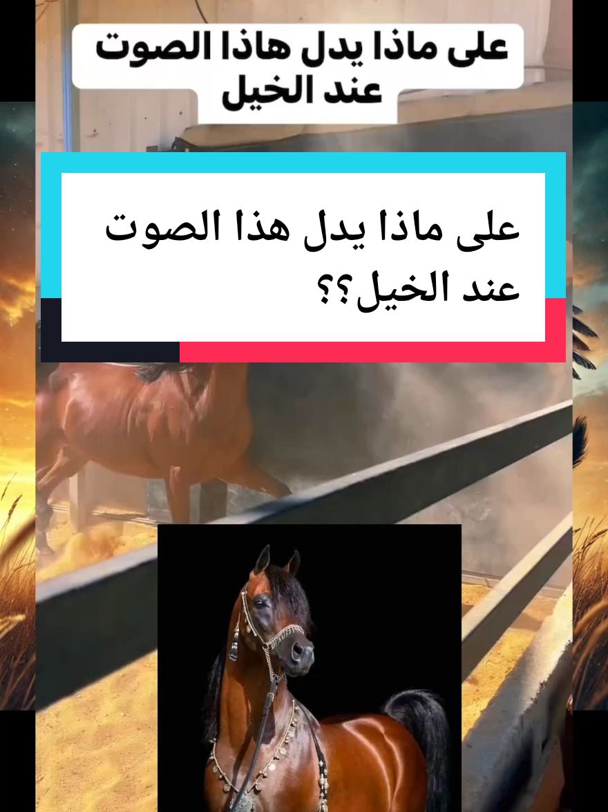 على ماذا يدل هذا الصوت عند الخيل؟؟ #electronicmusic #معلومة_عالسريع #عاشق_الخيل #الخيل_العربي_الاصيل #الجزائر🇩🇿_تونس🇹🇳_المغرب🇲🇦 @عاشق الخيل 🐎🐴🐎 