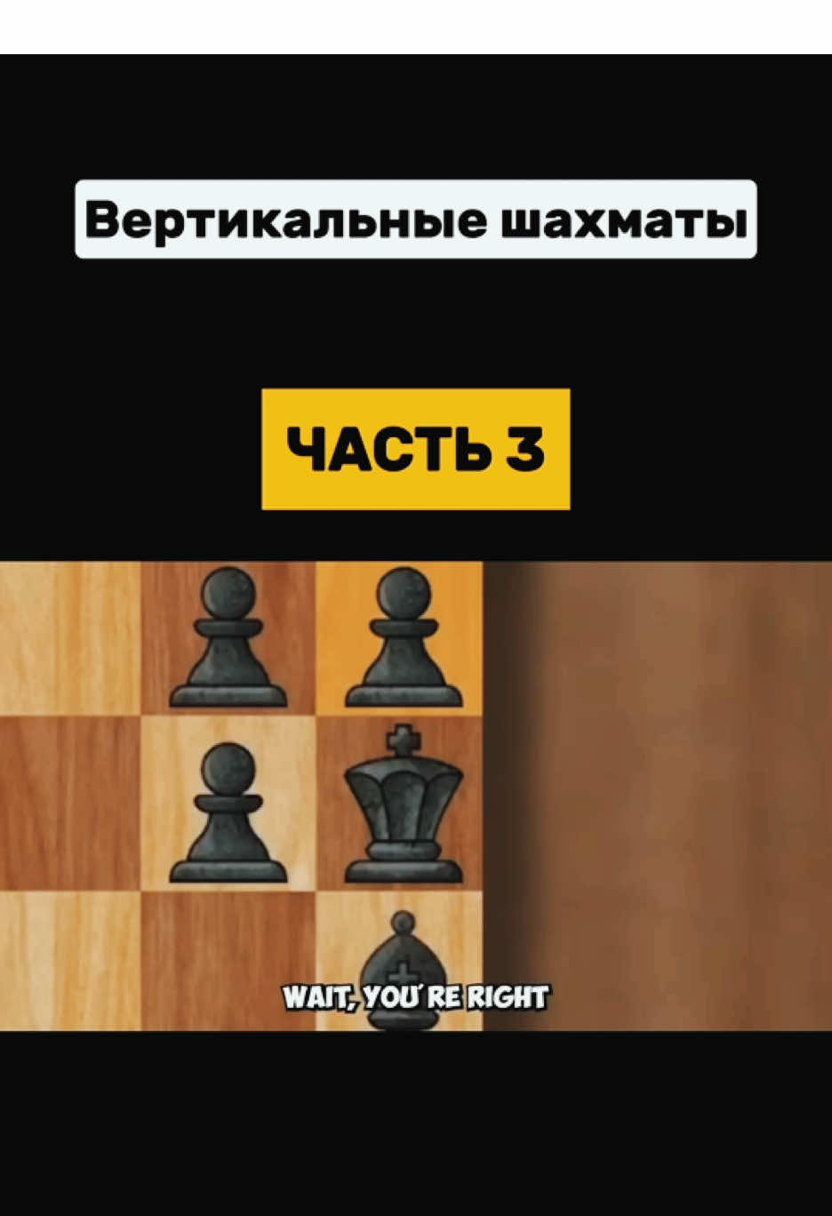 Часть 3/4. Вертикальные шахматы! #шахматы #chess #смешно #мем #funnyvideos 