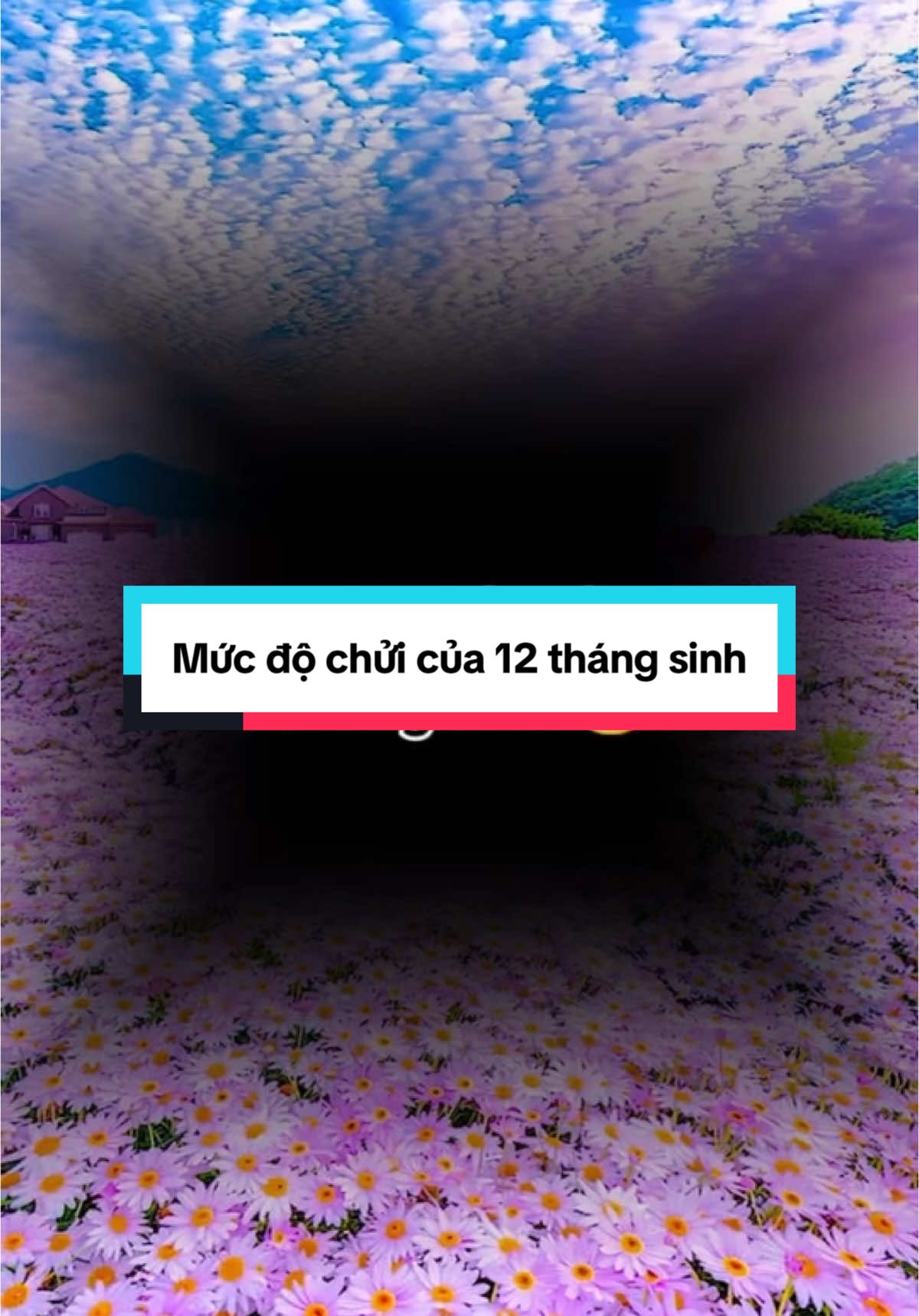 Mức độ chửi của 12 tháng sinh. Ai có tháng sinh vô nhận nhé 🤣🤣 #thangsinh #chửi #thansohoc #xuhuongtiktok 