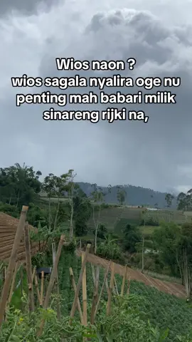 #fyp #foryou #petanimuda #petaniindonesia🇮🇩🇮🇩🇮🇩🌿🌿 #petanimilenial #petanimodern #storywa 