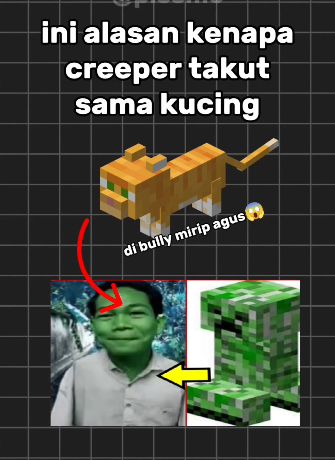 creeper mirip agus😱😱😹😹#Minecraft #agus #fyp #meme #viral 