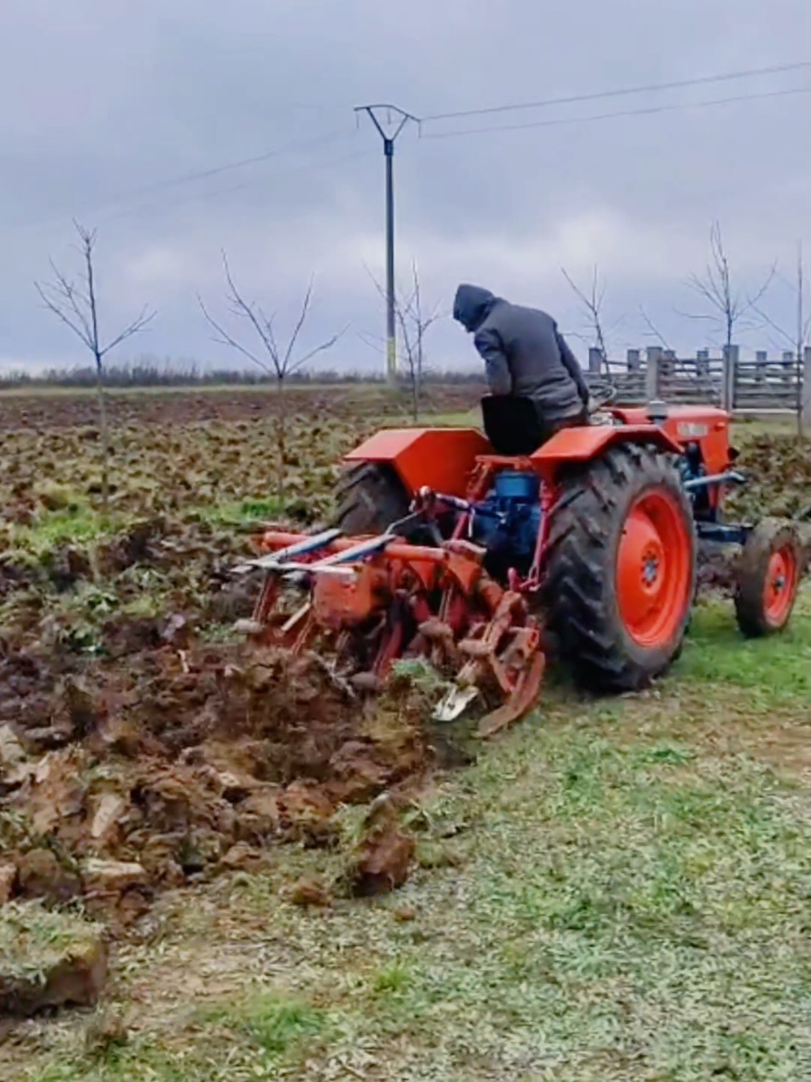 #farming #farmer #youtube #farmingsimulator22 #farmer #agriculture #tractor #farmlife #tractor #farminglife #urbanagriculture #agriculturetiktok #ukagriculture #ukagriculture #usaagriculture #usagriculture #usa #UK #england #englandagriculture #canada #agricultureworld #agriculturestudent #farmingsimulator22 #agriculturesaudi #farmingusa #farmer #agriculturetiktok #agricultura #shagriculture #foryoupage #saudiarabia #agriculturetech 