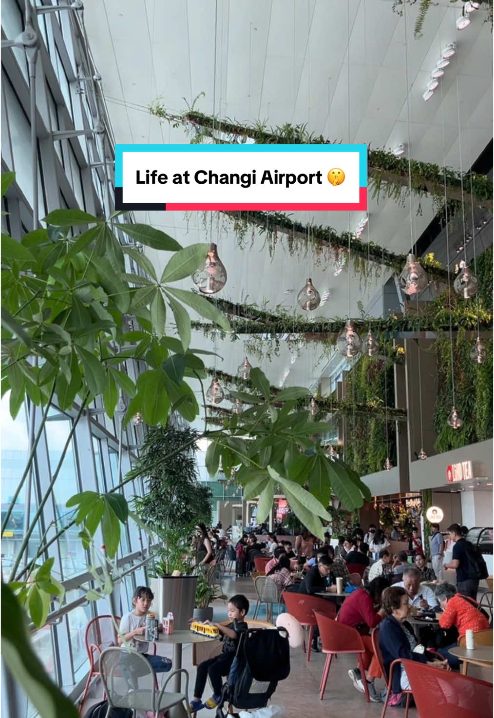 appreciating the simple little joys of airport life 💌 #ChangiAirport #lifewithouttrendingaudio 