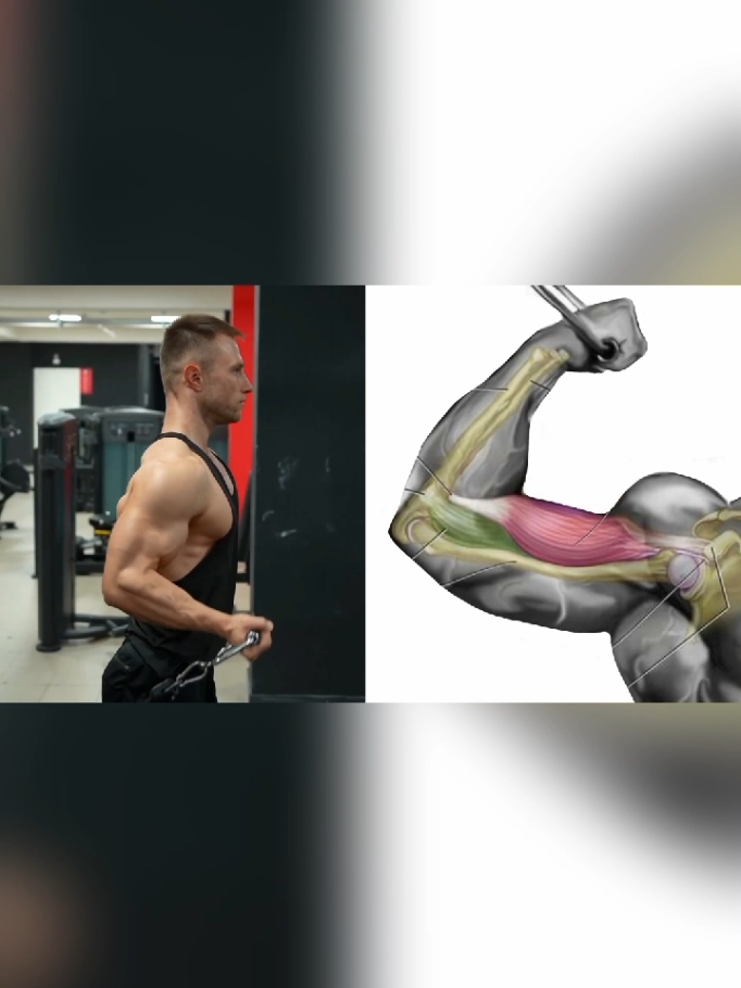 أقوي تمرين البايسبس لتوسيع البايسبس والذراع بسرعة - Wider Biceps Workout biceps,تمارين لتكبير البايسبس,فجر عضلة البايسبس بهذه التمارين,تمارين الذراع,عضلة البايسبس,أفضل تمارين البايسبس بالدمبل,تمارين البايسبس لتوسيع البايسبس,أقوى تمارين البايسبس كمال الاجسام #biceps​ #livefest2024 #bicepsday #chestexercises #gym #gymmotivation #GymLife #Fitness #fitnessmotivation #fitnessmotivation #chest #bigramy #biceps #viral #fyp #forupage 