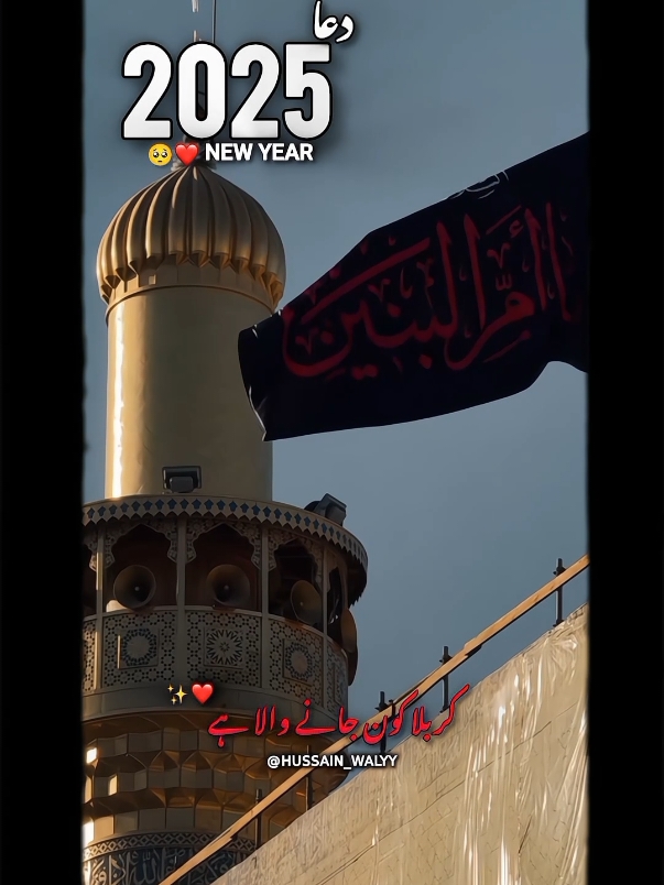 Karbla Jana ha insallah 🚩🫶🥺 #2k25 #azadar #viral_video #100k #karbala_karbla_🚩🙏 #nokarmolaghazida🙏 #foryoupage❤️❤️ #karbla_ishaq_ha #newyeardua #hussain_walyy 