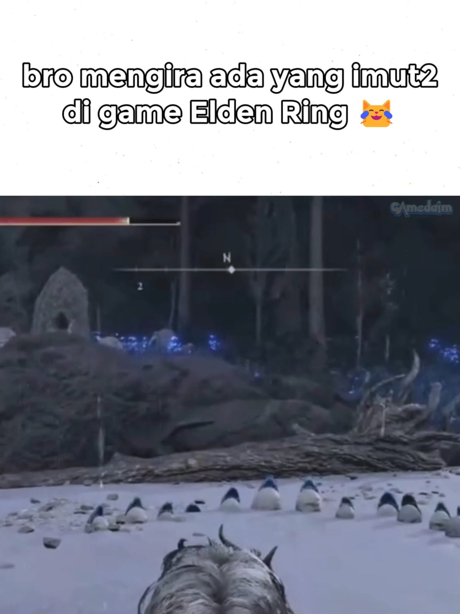 🥺 #eldenring #pinguin #meme 📽️/angrycottoncandyy