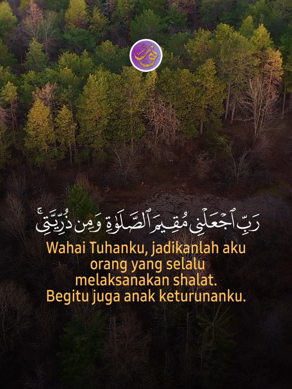 Surah ibrahim Qari - Hani Ar Rifa'i #qurantafseer #cahayaalquran 