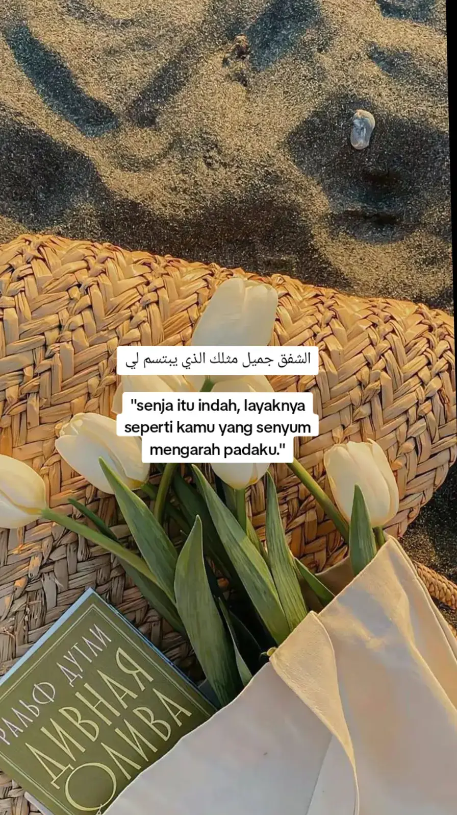 #quotes #syairarab #xybca #4u #bismillahfyp #lewatberanda #foryou #trendingvideo 