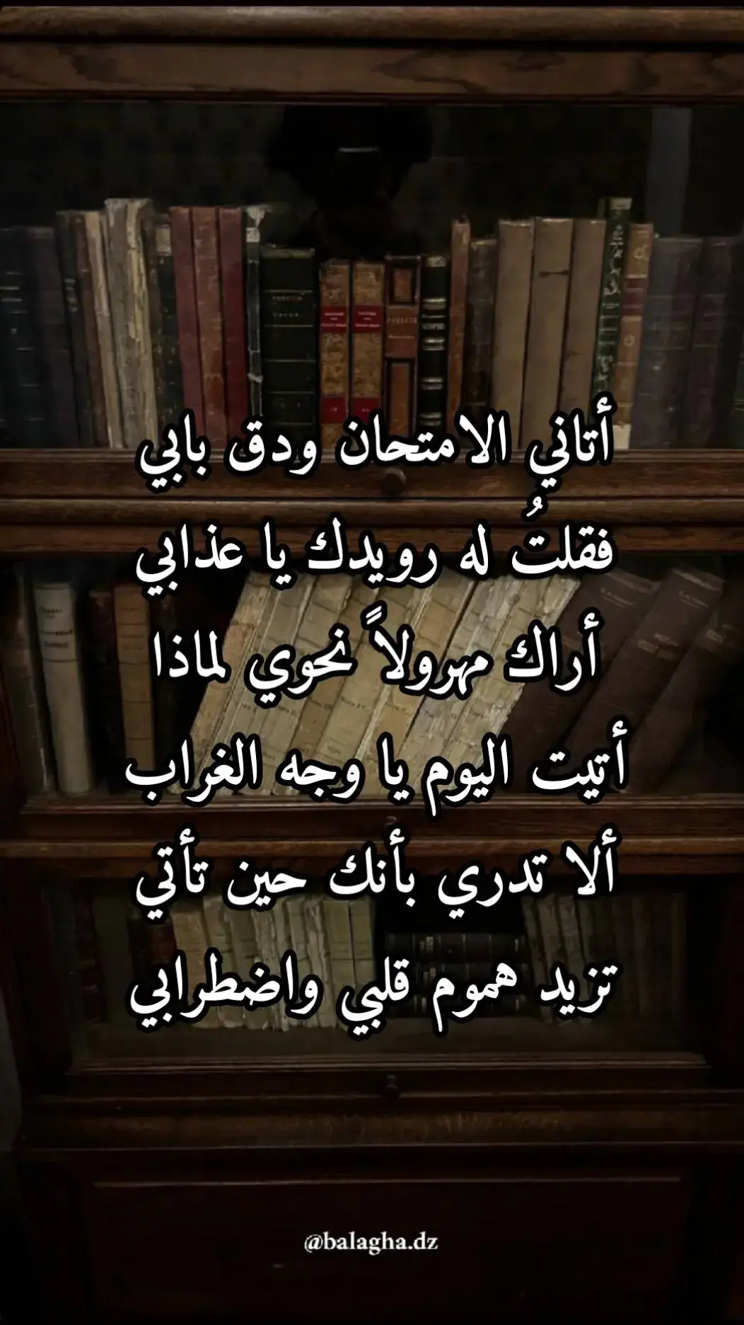 #شعر #فلسفة #اللغة_العربية #اقتباسات #بلاغة #الأندلس #الامتحانات 