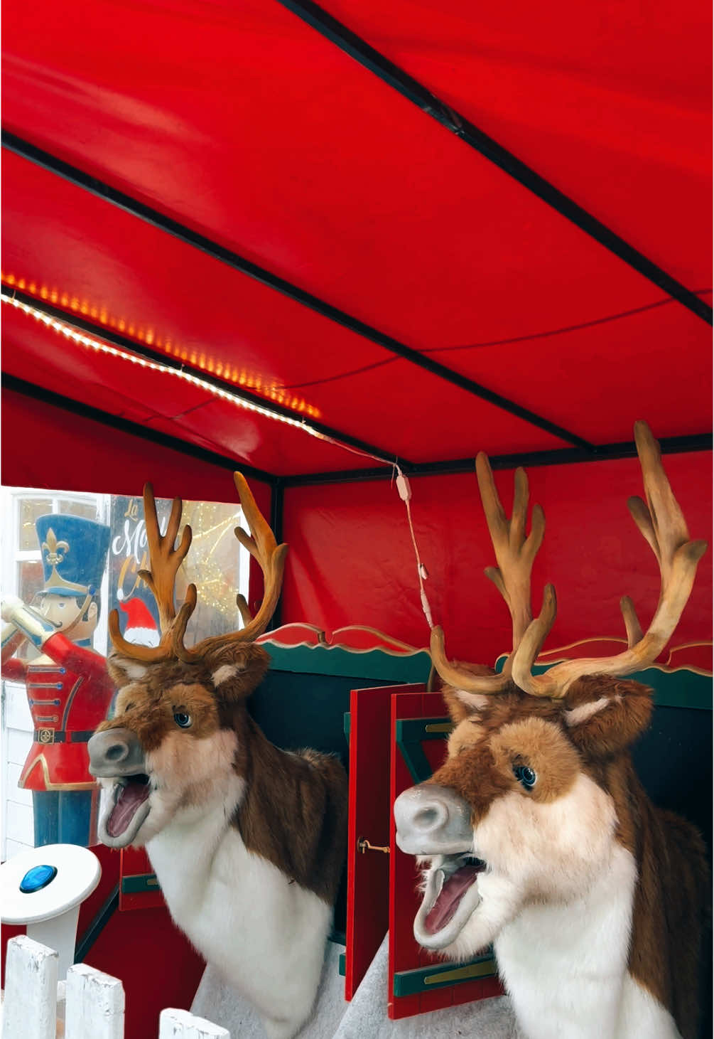 Christmas in Paris  #christmas #deer #santa #paris 