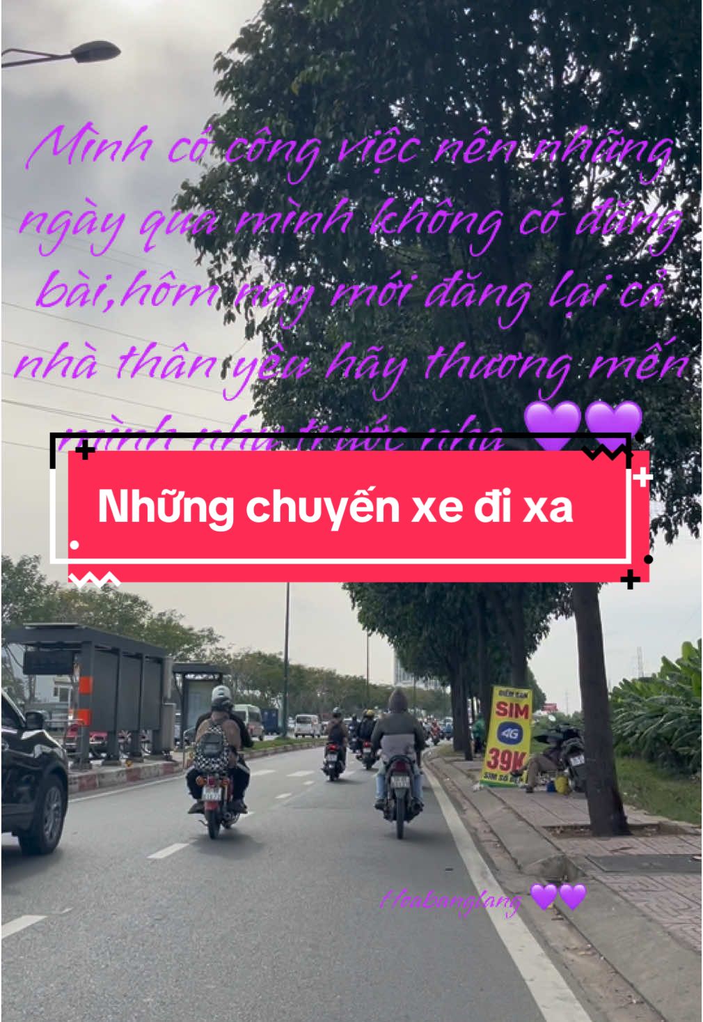 Buổi tối mến chúc cả nhà thân thương vui vẻ hạnh phúc an lành 💜💜#nhachaymoingay❤️ #thinhhanhxuhuong 