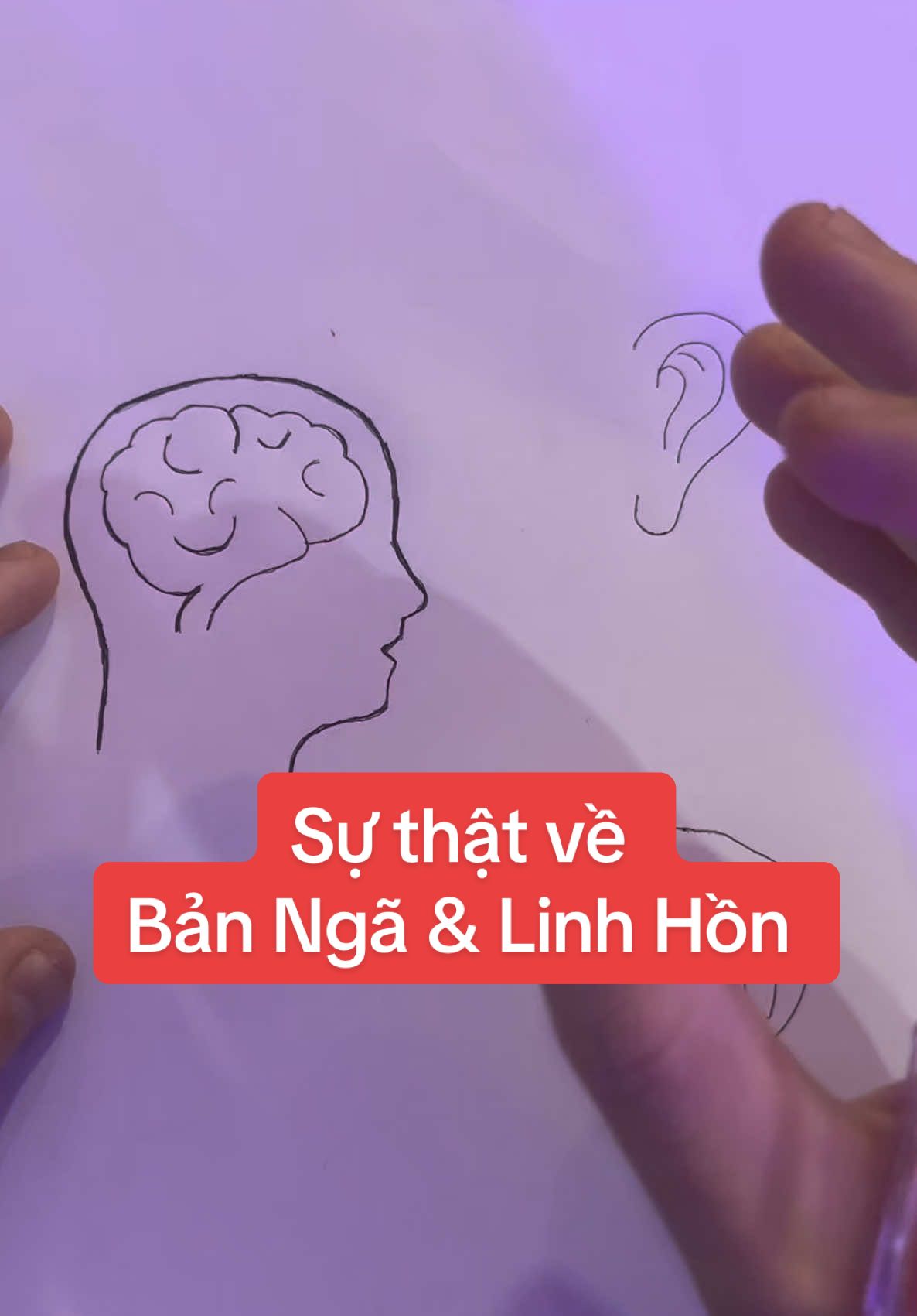 Sự thật về Bản Ngã vs Linh Hồn #bacsilac #bacsilacthien #thien #phatgiao #phatphap 