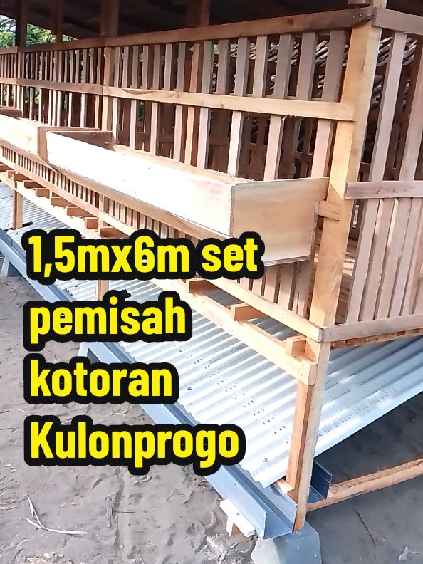 kandang kambing ful mening,ukuran 1,5mx6m lengkap dengan pemisah kotoran,terpasang di Kulonprogo #kandang #kandangan #kandangdomba #kandangkambing#kandangayam #kandangumbaran #kandangsobatngaret #beranda #peternak #fyp #laguviral #suryakandang 