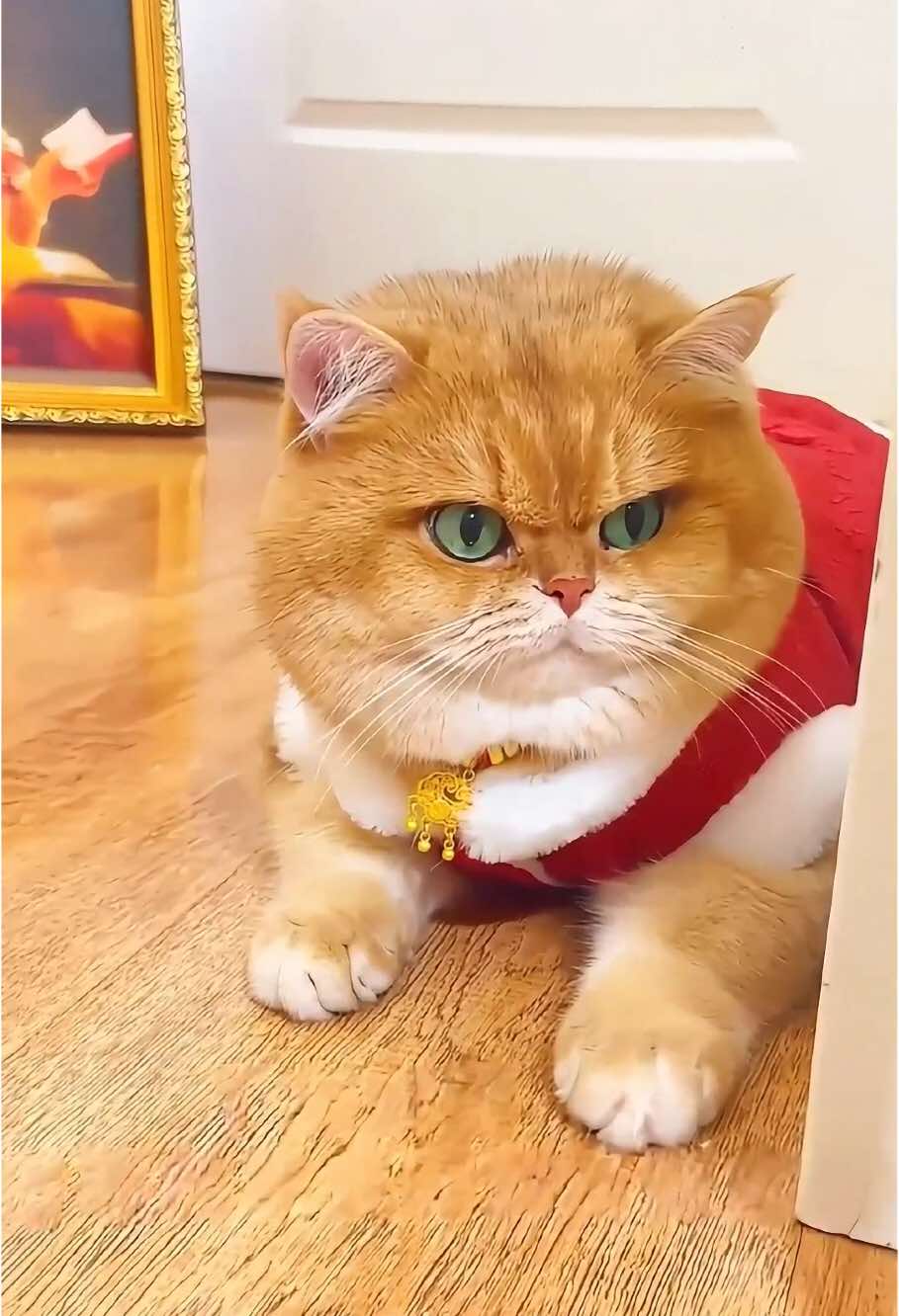 เพื่อให้กินได้คำเดียว,ส่วนเรื่องอารมณ์ฉุนเฉียว 😂#cat #pet #petcats #cutecat #cute #tiktok #fyp #foryou #catvideos #catsoftiktok #funny #funnycat #funnyanimals 