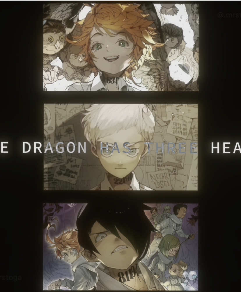 i love tpn sm omg #raytpn #ray #raygracefield #raytpnedit #norman #normantpn #normangracefield #normantpnedit #emmatpn #emma #emmagracefield #emmatpnedit #thepromisedneverlandedit #thepromisedneverland #tpn #edit #anime #tpnedit #animeedit #foryoupage #fyp #xyzbca #anitok 