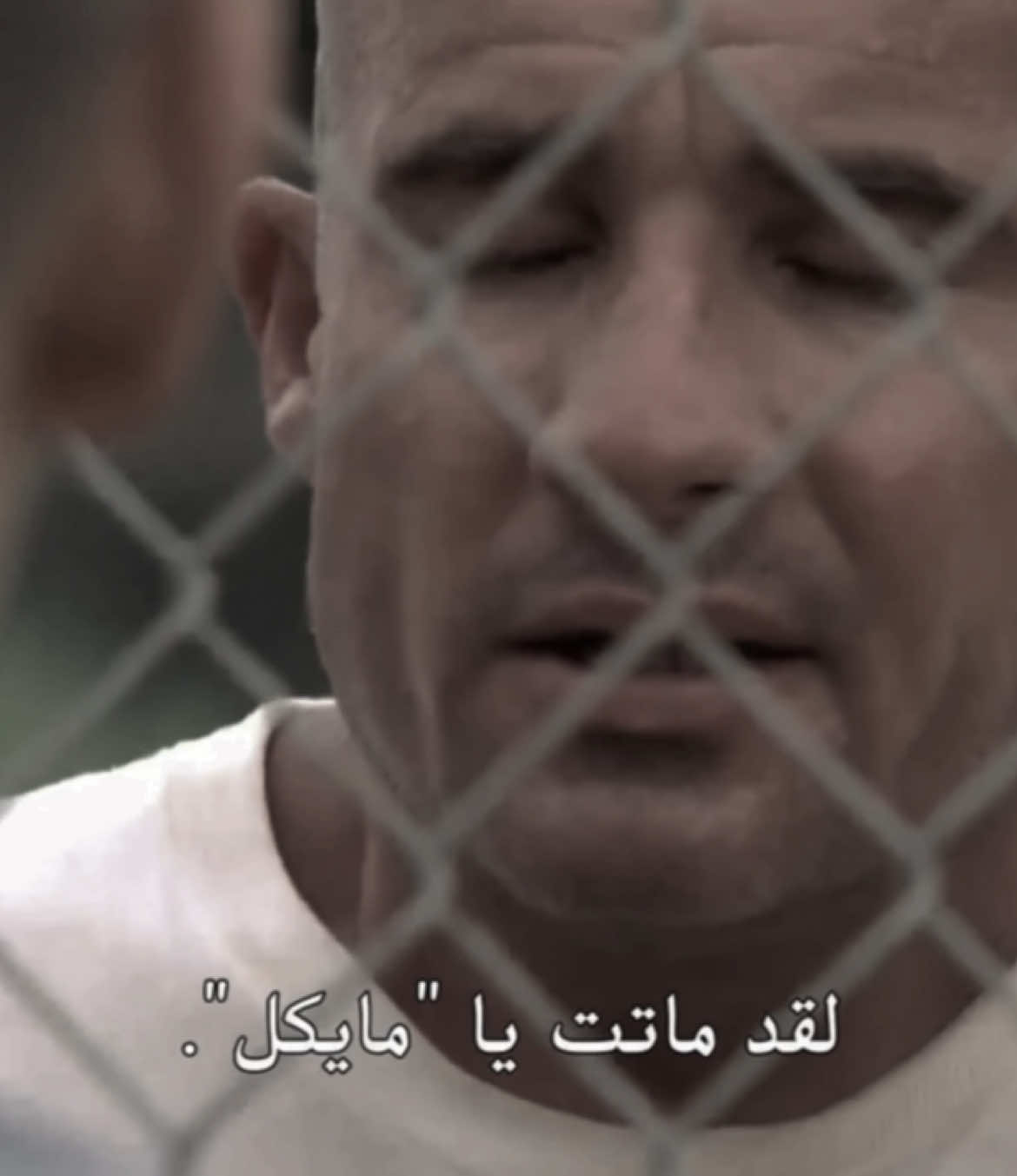 #prisonbreak #مايكل_سكوفيلد #prisonbreakedit #سارة #fyp #foryou #michaelscofield 