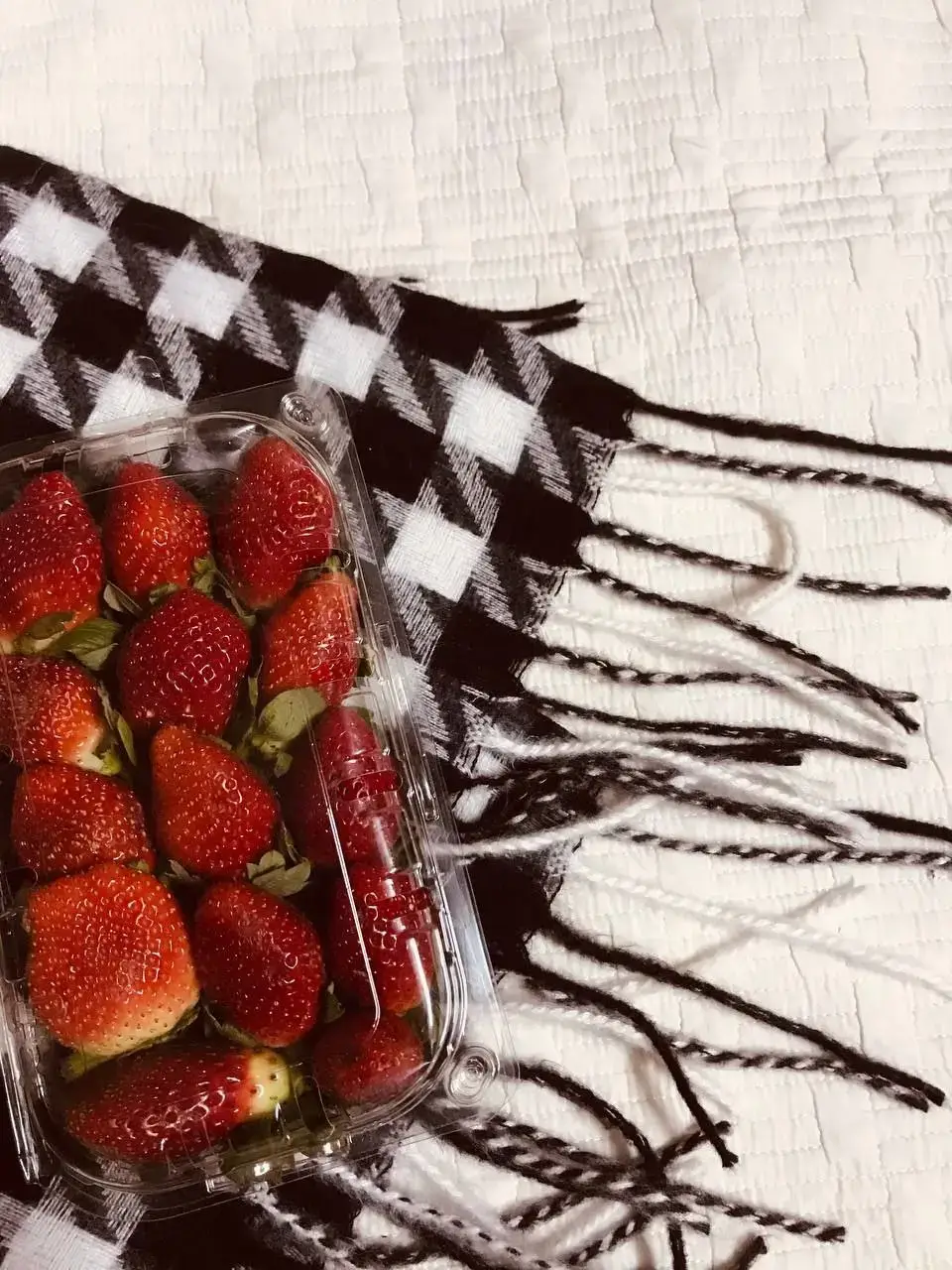 #روبي 😋🍓