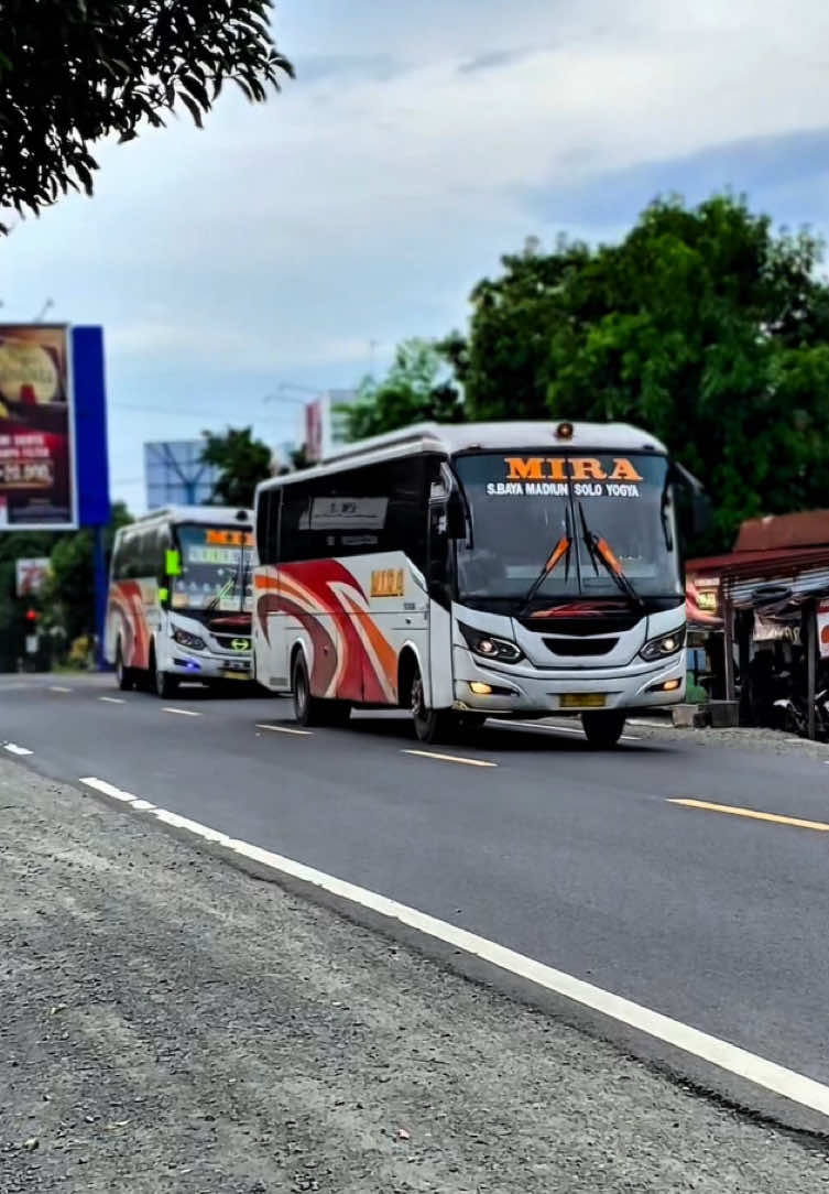 Adek kakak 🤣@SELEBRITIS REBORN😎 & mira chiepong #videobus #storywa #storybusmania #storybus #ekamira #ekamirabus #ekamiragroup #ekamiralovers #ekamiraprimasentosa #busjatim #busjawatimuran #busmaniacommunity 