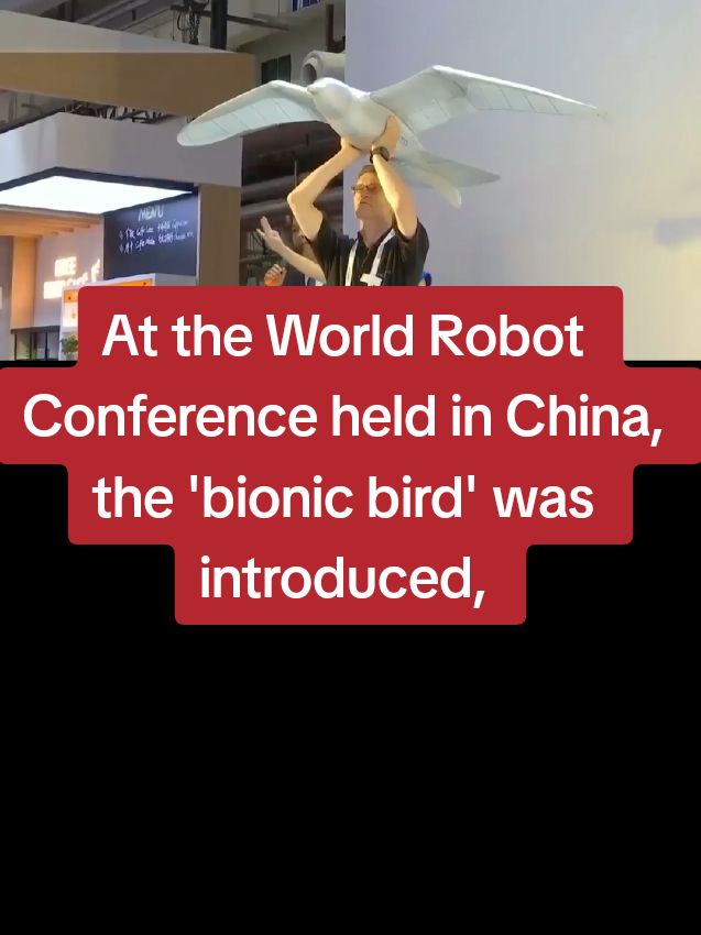 Replying to @thelifeofguy At the #WorldRobotConference held in #China the #bionicbird was introduced, which looks like a real #bird and can do all the natural movements of a bird #dronebirds #drones 