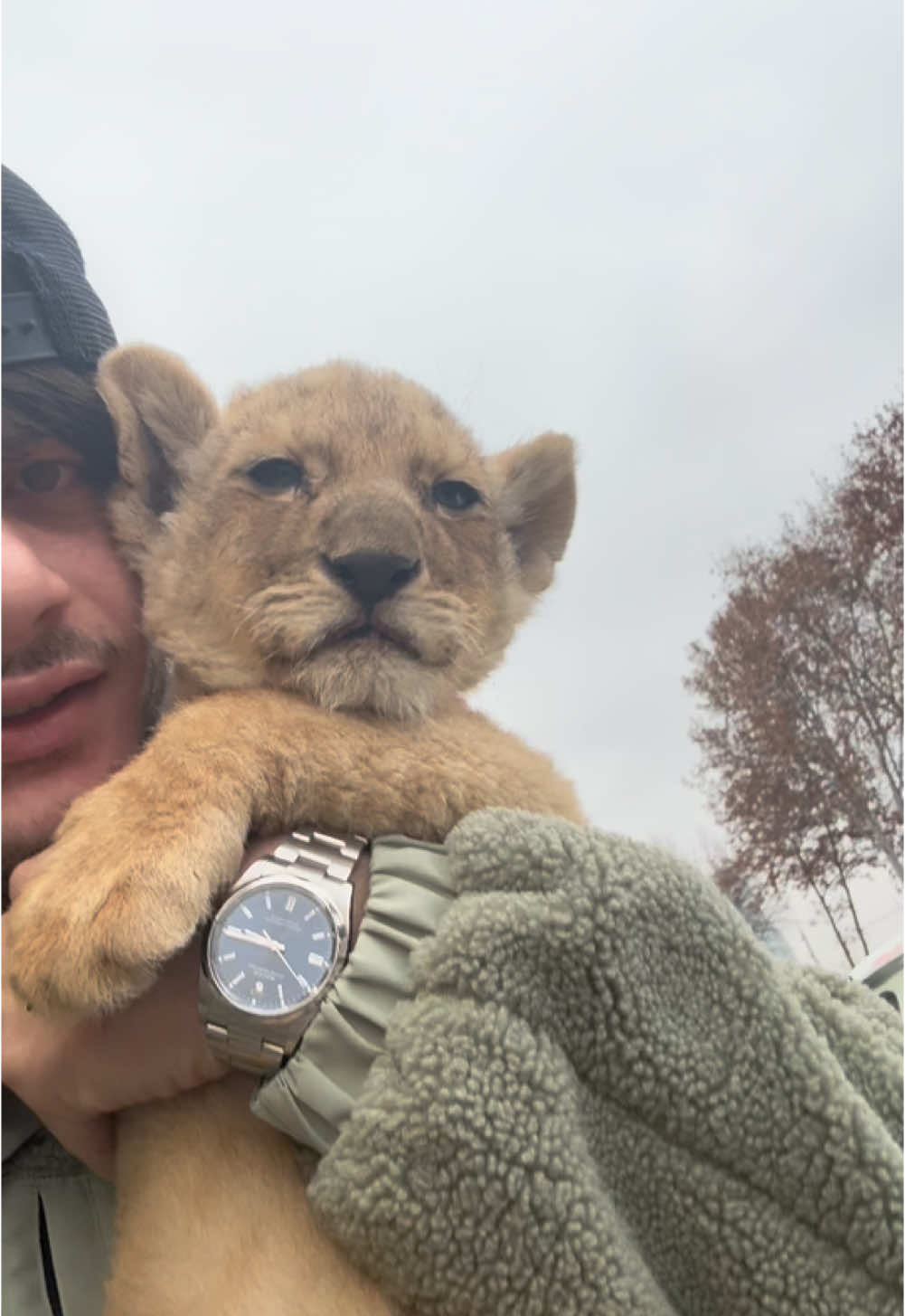 Simba in tbilisi 😔❤️ - #tbilisi #tbilisigeorgia #georgia #tbilisi🇬🇪 #georgia🇬🇪 #simba 