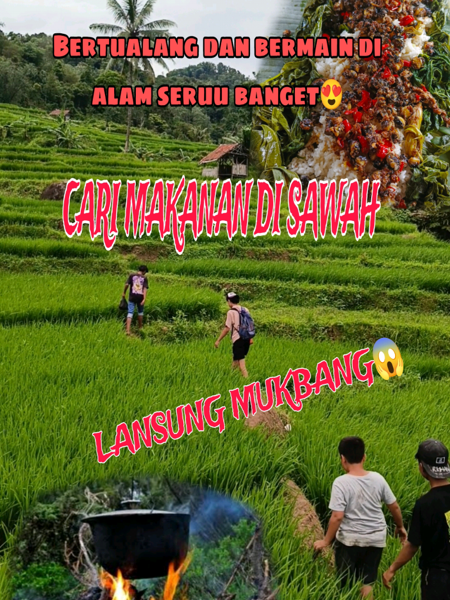 masak keong emas ala kampung : pedas mantap #sawah #fypシ #masakanindonesia #viral #pedas #enak #bermainsambilbelajar #tiktokviral  #masakdirumah #survival #bertualang #temenmakan 