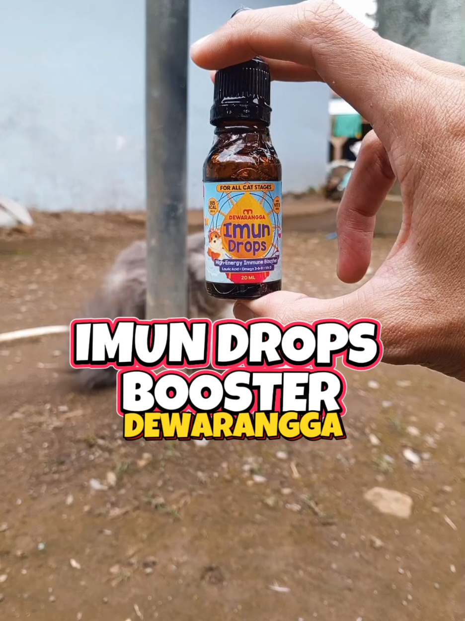 Imun Drops booster imun kucing@dewarangga.official #imunkucing #imundrops #dewarangga #perawatankucing 