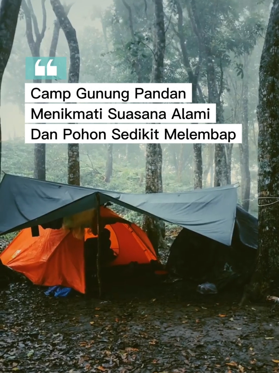 Camp Gunung Pandan Menikmati Suasana Alami Dan Pohon Sedikit Melembap. Video ini diambil 2022 lalu. 🎥 IG; ikhsanmohammad14 #Campgunungpandan #GunungPandan #GunungBojonegoro #MountainPandan #bojonegoro_jawatimur #fypage #fyp #gunung #kendeng #pegunungankendeng #pandan #camping 