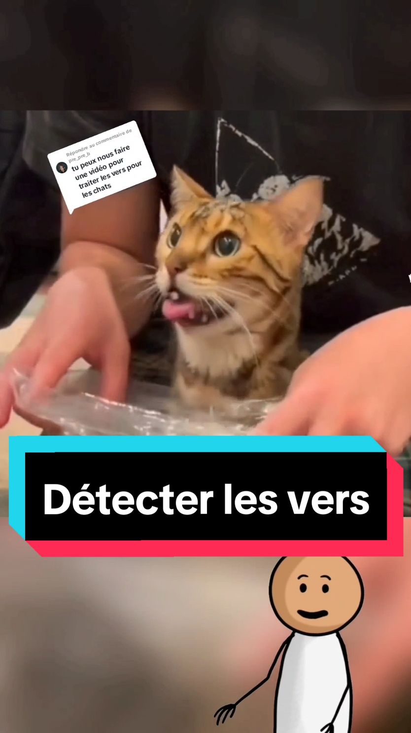 Réponse à @pre_pre_b Comment savoir si son chat à des vers? • Je vous partage 2 astuces pour détecter si votre chat en à. Et une méthode naturelle pour les traiter. • Vous allez aussi voir que les vermifuges traditionnels pour chats ne sont pas la meilleure solution. • Recette de @Zoomalia #chatmalade #veterinairechat #traitementchat   