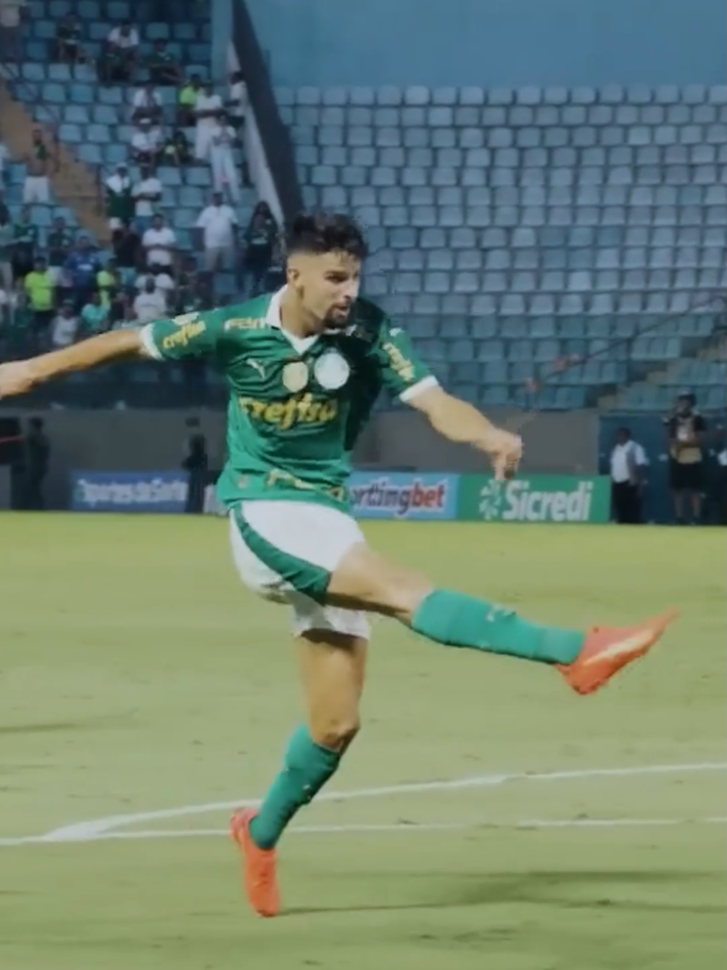 2️⃣2️⃣ gols na conta do nosso artilheiro da temporada! Avanti, Flaco! 🦾 #Palmeiras #TikTokEsportes