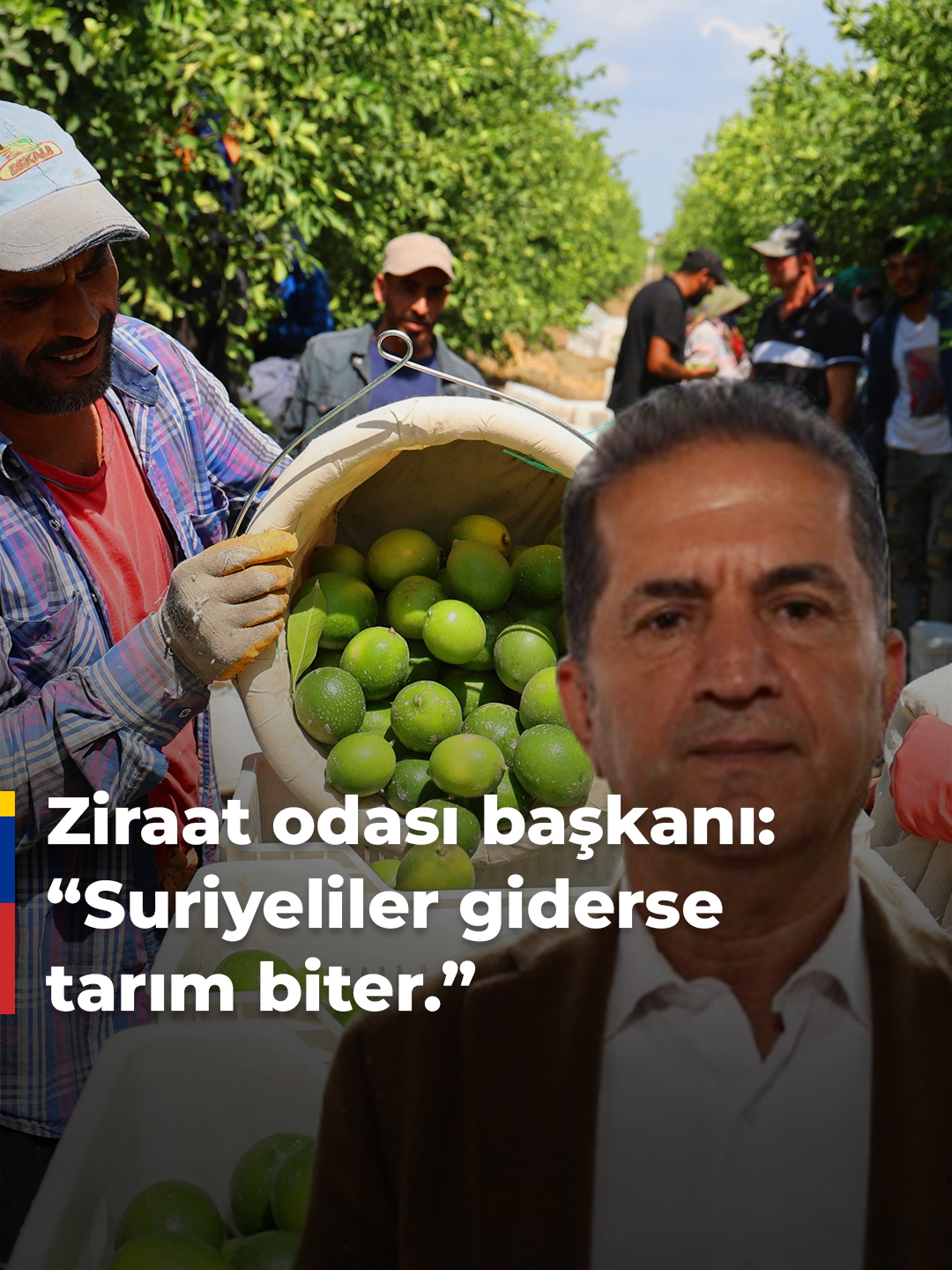 🔴 Türkiye'deki Suriyelilerin ülkelerine dönmeye başlaması Adanalı çiftçileri tedirgin etti! 📌 Yüreğir Ziraat Odası Başkanı Mehmet Akın Doğan ise Suriyeliler giderse Türkiye'de tarım sektörünün biteceğini ifade etti: ❝Tarımda çalıştırdığımız işçilerin yüzde 77'sini Suriyelilerden sağlıyoruz. Tarım sektöründe çalışan Suriyelilerin gitmesini istemiyoruz.❞ 💭 Siz bu açıklama hakkında ne düşünüyorsunuz? ❓🤔 #Suriye #Suriyeli #Tarım #Adana