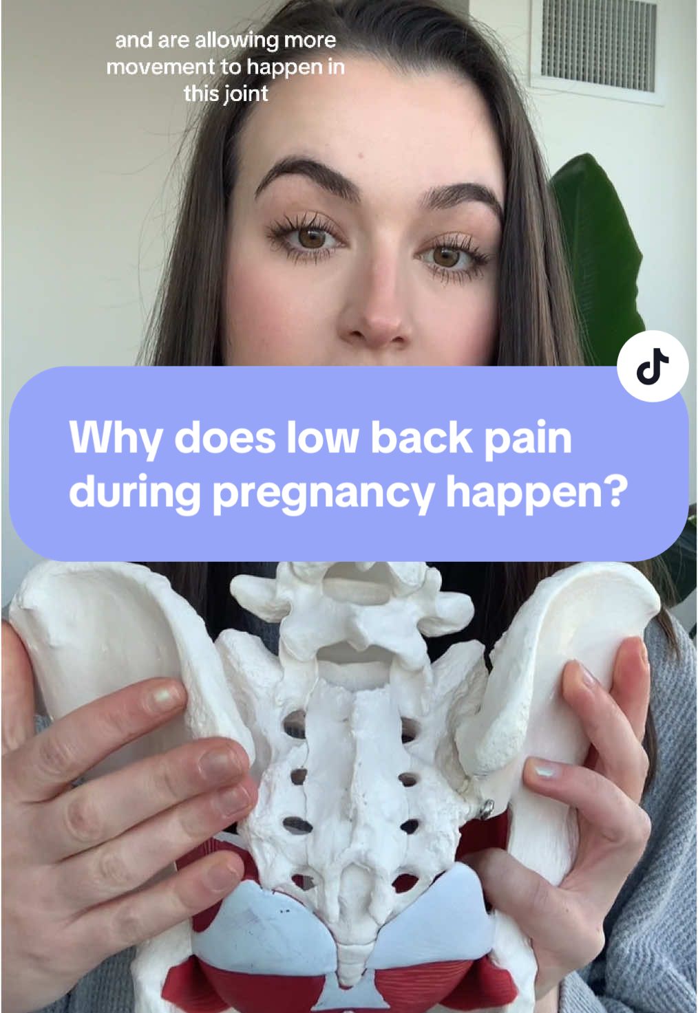 What causes low back pain to happen during pregnancy? Hormones focused on relaxing your pelvis to help it open during labor and delivery can cause instability in your low back. This leads to pain especially as muscles like our abdominals and glutes, which also give us stability, are also affected during pregnancy.  #women #womenshealth #womenempowerment #SelfCare #selfcaretiktok #pelvicfloor #pelvicpt #pelvicfloorexercises #pelvichealth #pregnancy #pregnancytiktok #pregnant #pregnantlife #pregnanttiktok #pregnancyfitness #postpartum #laboranddelivery #birthstory #postpartumrecovery 