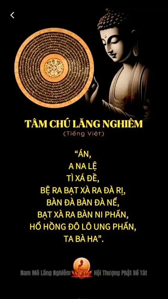 Chú Lăng Nghiêm oai lực #phatphapnhiemmau #phatphapvidieu #phatphapvobien #chulangnghiem #nammoadidaphat🙏🙏🙏 