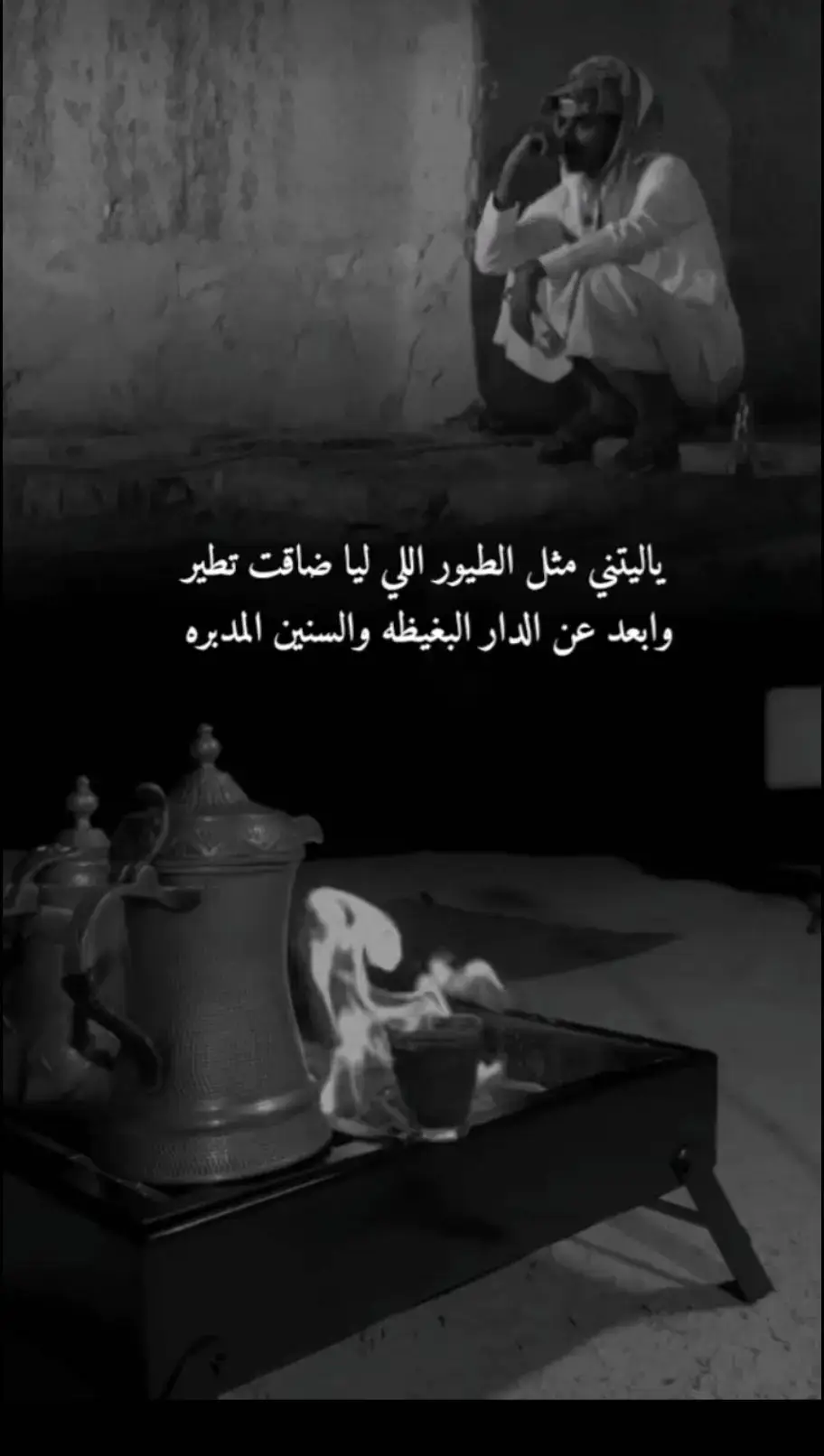 #قصيده_شعر_بوح_كلام_من_ذهب 