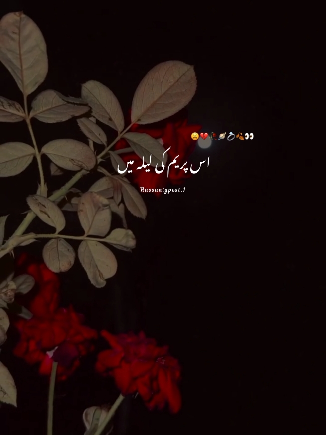 Is prem ki Lila Mai🥹🤏🏻🥀#song #trending #aesthetic #fyp #foryoupage #grow #account #unfreez #account #fyp #tiktokpakistan #500k #hassanjani0310 #forypupage #viral 