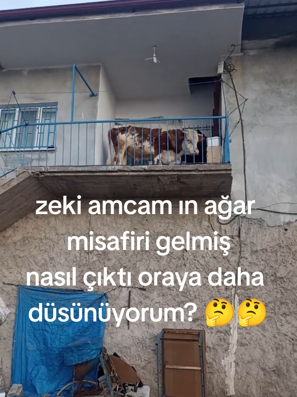 @Hakan Terzi 