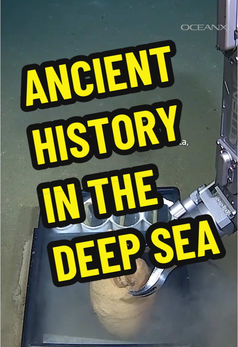 What started as a routine dive in the Mediterranean Sea became a mission of discovery when a student learning to pilot OceanXplorer’s ROV spotted something unexpected on the seafloor: an ancient amphora. We immediately reached out to archeologists at Heritage Malta to learn more about what we found, and as it turns out, this one seemingly small artifact has the potential to unlock a trove of information and a broader understanding of human history.  #archeology #deepsea #malta #oceanexploration 